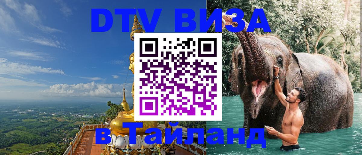 Оформление DTV визы под ключ: стоимость и тарифы, только загранпаспорт - 05.10.2025 